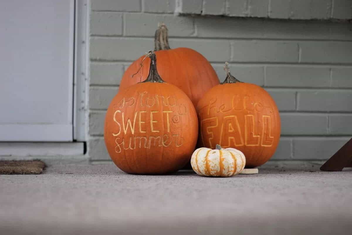 Writing On The Pumpkin