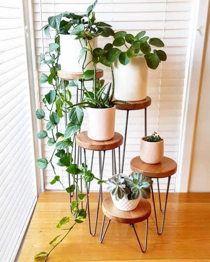 Metal Hairpin Leg Plant Stand