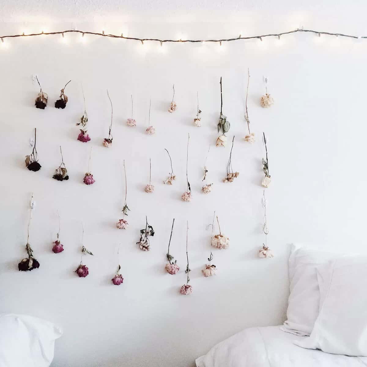 Sparking Twinkle Lights with Dried Flower Display Flower Garland