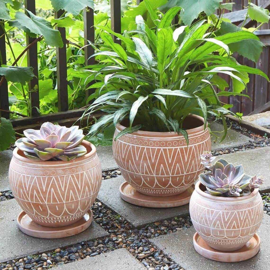 Unique Terracotta Belly Pot Set