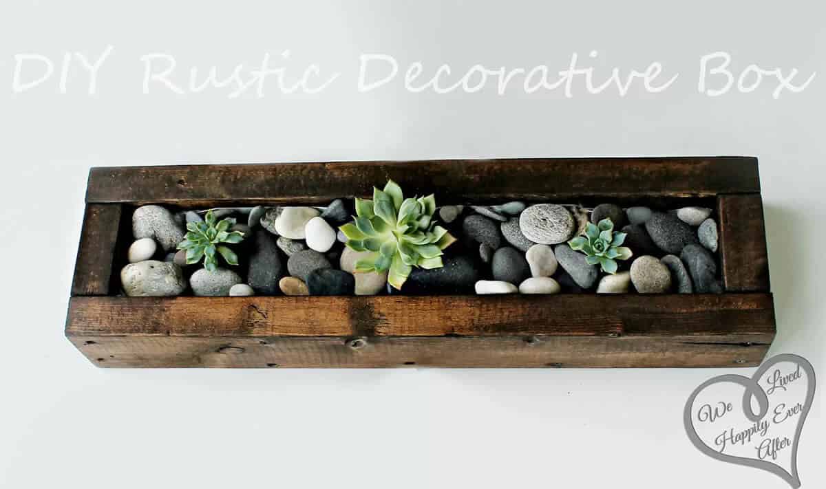 An Earthy Box with Real Stones and Cacti