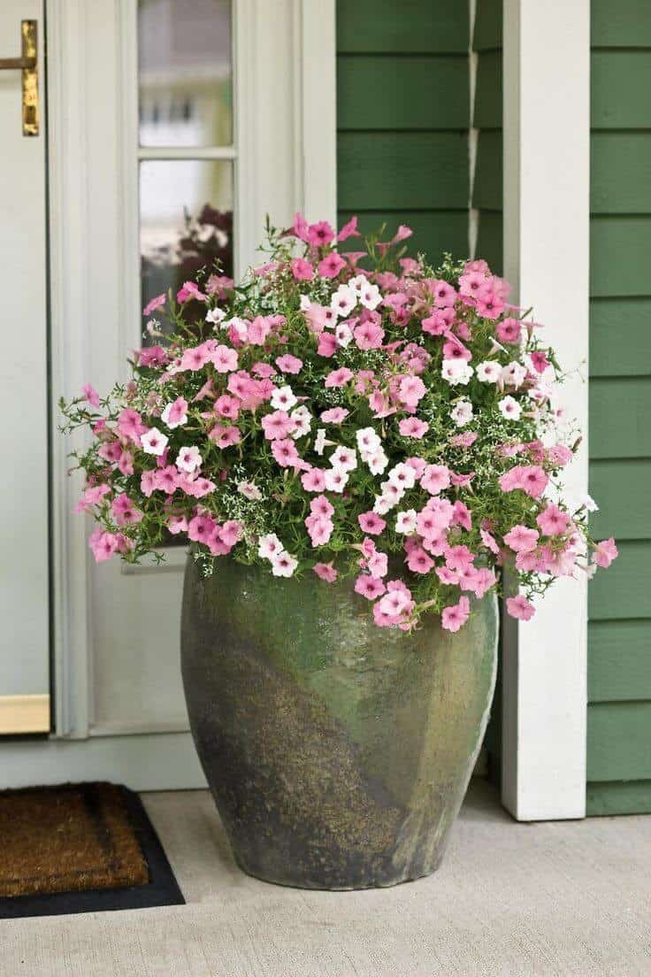 Giant Clay Spring Flower Planter