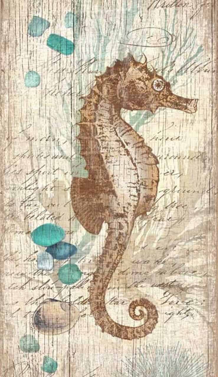 Coastal Collage Seahorse Wall Art