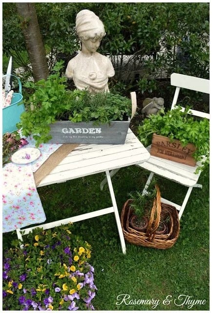 Potted Herb Garden on a Table