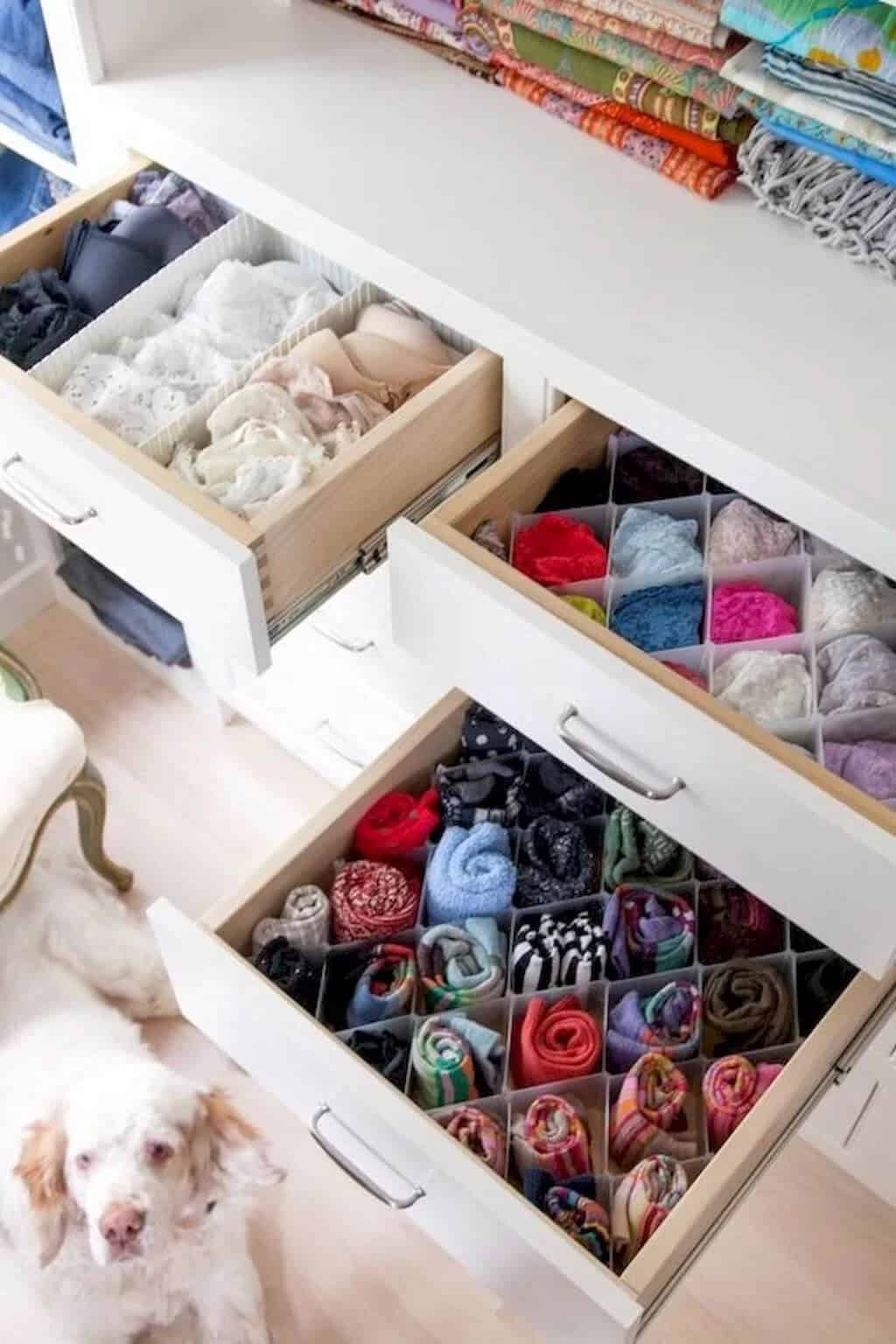 Multiple Paper Plastic Shaped Drawer Organizers