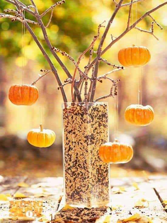 Pumpkins Make Great Ornaments